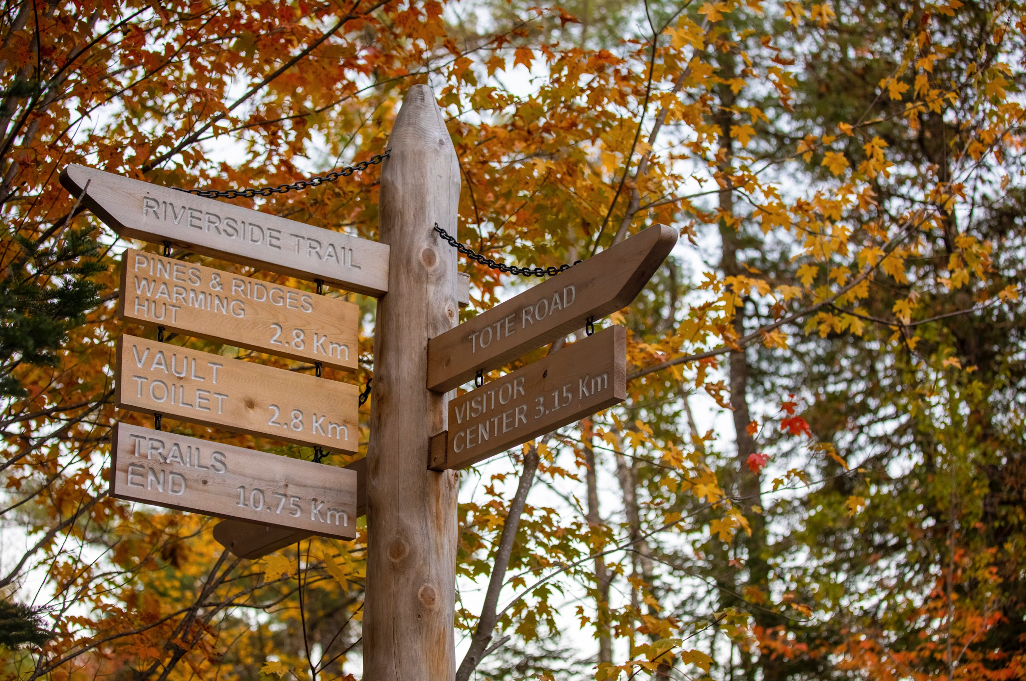 PRT SIGNAGE FALL